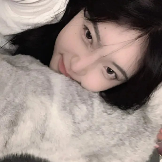 何以飞翔